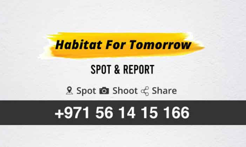 കോ​വി​ഡ് കാ​ല​ത്തും ക​രു​ത​ൽ മ​റ​ക്കാ​തെ ട്രോ​ളി റി​പ്പോ​ർ​ട്ടു​ക​ൾ