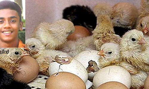 പ​ക്ഷി​ക്കു​ഞ്ഞു​ങ്ങ​ളെ വി​രി​യി​ക്കാ​ൻ ഉ​പ​ക​ര​ണ​വു​മാ​യി വി​ദ്യാ​ർ​ഥി