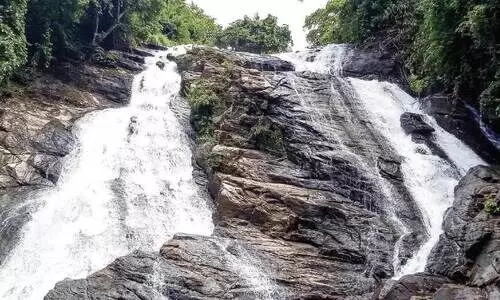 ചാര്‍പ്പ വെള്ളച്ചാട്ടം