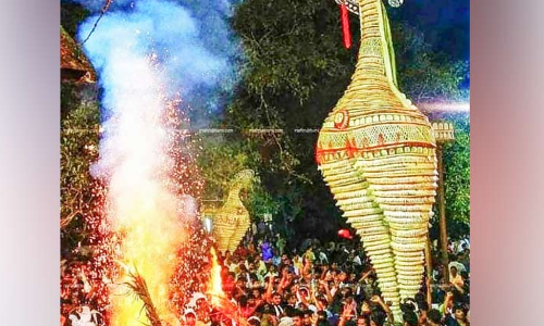 വല്യന്നവും ചെറിയന്നങ്ങളും പറന്നിറങ്ങാതെ നീലംപേരൂര്‍