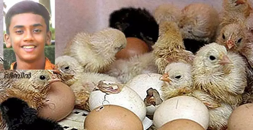 പക്ഷിക്കുഞ്ഞുങ്ങളെ വിരിയിക്കാൻ ഉപകരണവുമായി വിദ്യാർഥി പക്ഷിക്കുഞ്ഞുങ്ങളെ വിരിയിക്കാൻ ഉപകരണവുമായി വിദ്യാർഥി