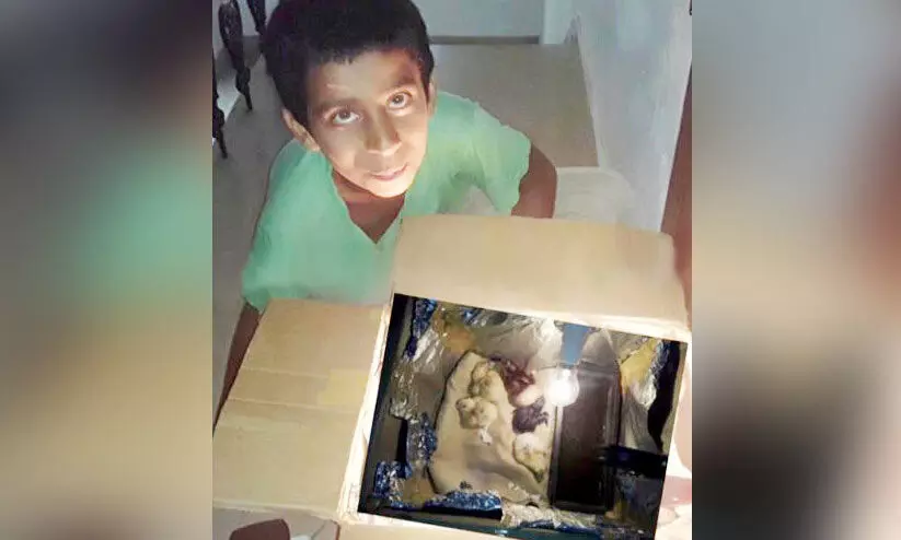 ഇൻക്യുബേറ്ററിൽ മുട്ട വിരിയിച്ച്‌ കൊച്ചുമിടുക്കൻ