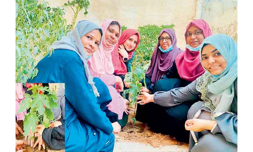 ഓ​റ -ന​ന്മ​മ​രം പ​ദ്ധ​തി​ക്ക് തു​ട​ക്ക​മാ​യി