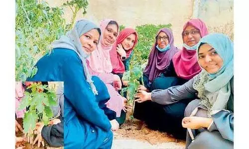 ഓ​റ -ന​ന്മ​മ​രം പ​ദ്ധ​തി​ക്ക് തു​ട​ക്ക​മാ​യി