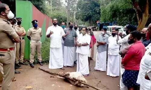 ചീ​യ​മ്പ​ത്ത് ക​ടു​വ വീ​ണ്ടും ആ​ടു​ക​ളെ കൊ​ന്നു