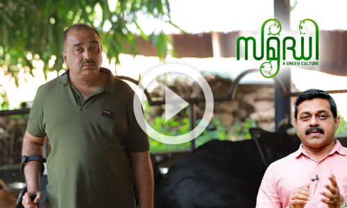 തളർന്ന ജീവിതത്തെ കൃഷിയിലൂടെ തിരികെപ്പിടിച്ച റഷീദിന്‍റെ വിജയകഥ