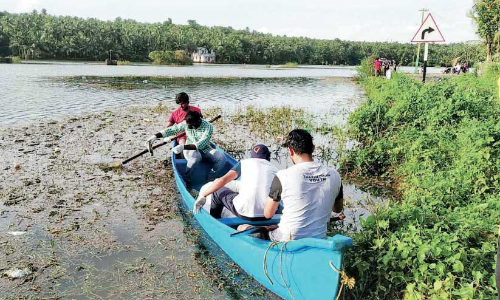 വ​യ​ലി​ലെ വെ​ള്ള​ക്കെ​ട്ടി​ൽ​നി​ന്ന് മാ​ലി​ന്യം നീ​ക്കി യു​വാ​ക്ക​ൾ