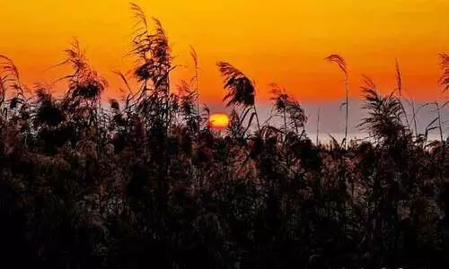 ഫുജൈറയും ദുബൈയും പിന്നിൽ; യു.എ.ഇയിലെ ആഭ്യന്തര സഞ്ചാരികളുടെ ഇഷ്​ടകേന്ദ്രങ്ങളില്‍ ഒന്നാമത്​ ഇൗ ചരിത്രനാട്​