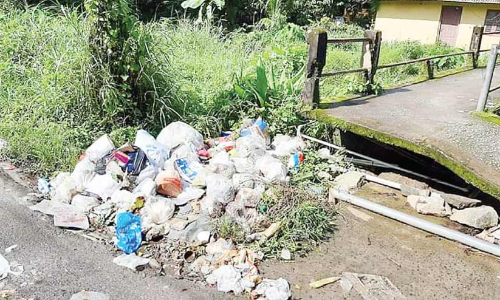 മാലിന്യം തോട്ടിലേക്ക് തള്ളിയ ഫാം ഉടമക്കെതിരെ കേസ് മാലിന്യം തോട്ടിലേക്ക് തള്ളിയ ഫാം ഉടമക്കെതിരെ കേസ്