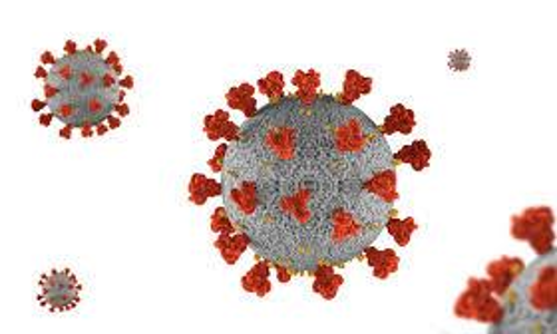 ഒമാനിൽ 557 പേർക്ക്​ കൂടി കോവിഡ്​   സ്​ഥിരീകരിച്ചു