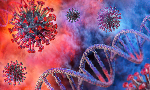 സൗദി അറേബ്യയിൽ 1145 രോഗികൾ കൂടി സുഖം പ്രാപിച്ചു