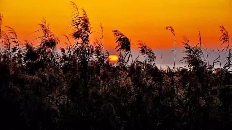 ഫുജൈറയും ദുബൈയും പിന്നിൽ; യു.എ.ഇയിലെ ആഭ്യന്തര സഞ്ചാരികളുടെ ഇഷ്ടകേന്ദ്രങ്ങളില് ഒന്നാമത് ഇൗ ചരിത്രനാട് ഫുജൈറയും ദുബൈയും പിന്നിൽ; യു.എ.ഇയിലെ ആഭ്യന്തര സഞ്ചാരികളുടെ ഇഷ്ടകേന്ദ്രങ്ങളില് ഒന്നാമത് ഇൗ ചരിത്രനാട്