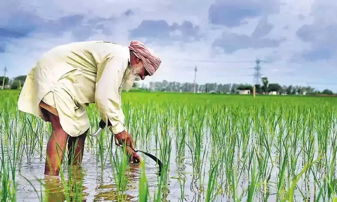 കാർഷിക ബില്ലുകൾ അടിമുടി കർഷകവിരുദ്ധമെന്ന് പ്രേമചന്ദ്രൻ; സാമ്രാജ്യത്വ ദിനങ്ങളിലേക്കുള്ള മടക്കമെന്ന് എം.കെ. രാഘവൻ കാർഷിക ബില്ലുകൾ അടിമുടി കർഷകവിരുദ്ധമെന്ന് പ്രേമചന്ദ്രൻ; സാമ്രാജ്യത്വ ദിനങ്ങളിലേക്കുള്ള മടക്കമെന്ന് എം.കെ. രാഘവൻ