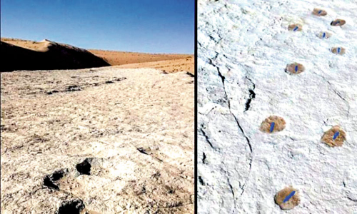 സൗ​ദി​യി​ൽ 1,20,000 വ​ർ​ഷം പ​ഴ​ക്ക​മു​ള്ള മ​നു​ഷ്യ​കാ​ൽ​പാ​ടു​ക​ൾ ക​ണ്ടെ​ത്തി