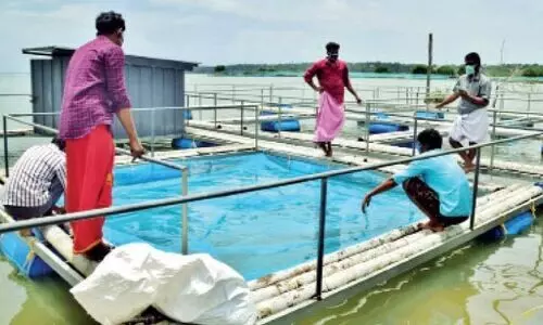 വേലിയേറ്റമേ, ഉപ്പുവെള്ളമേ... വിട