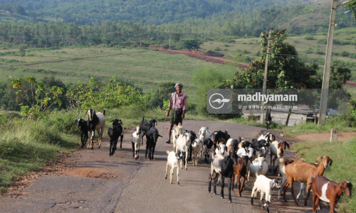 അട്ടപ്പാടിയിലെ 2730 ഏക്കർ ആദിവാസി കൃഷിഭൂമിയിൽ ടൂറിസം പദ്ധതി; പ്രകൃതിയോടിണങ്ങി താമസിക്കാം, ട്രക്കിങ്ങിനും സൗകര്യം