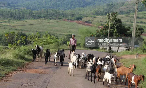 അട്ടപ്പാടിയിലെ 2730 ഏക്കർ ആദിവാസി കൃഷിഭൂമിയിൽ ടൂറിസം പദ്ധതി; പ്രകൃതിയോടിണങ്ങി താമസിക്കാം, ട്രക്കിങ്ങിനും സൗകര്യം അട്ടപ്പാടിയിലെ 2730 ഏക്കർ ആദിവാസി കൃഷിഭൂമിയിൽ ടൂറിസം പദ്ധതി; പ്രകൃതിയോടിണങ്ങി താമസിക്കാം, ട്രക്കിങ്ങിനും സൗകര്യം