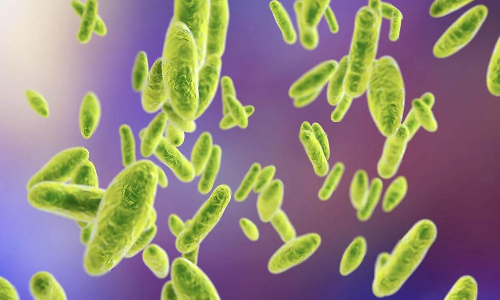 ചൈനയിൽ നിന്ന്​ മറ്റൊരു പകർച്ചവ്യാധികൂടി; 3,245 പേർക്ക്​ രോഗം സ്​ഥിരീകരിച്ചു