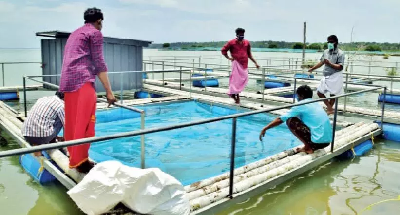 വേലിയേറ്റമേ, ഉപ്പുവെള്ളമേ... വിട