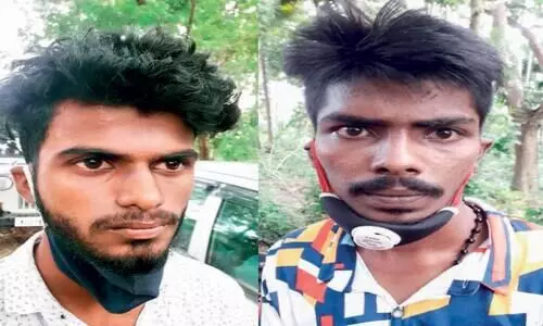 ര​ണ്ടു കി​ലോ ക​ഞ്ചാ​വു​മാ​യി യു​വാ​ക്ക​ൾ പി​ടി​യി​ൽ