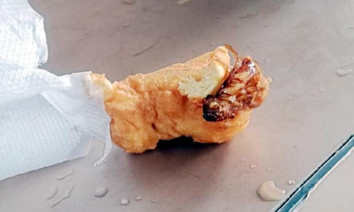 കൗൺസിലർക്ക്​ കിട്ടിയ വടയിൽ പാറ്റ; ഹോട്ടൽ അടപ്പിച്ചു