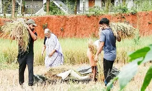 പാടത്തിറങ്ങി വിജയപാഠം രചിച്ച്​ ജഗദീഷ്