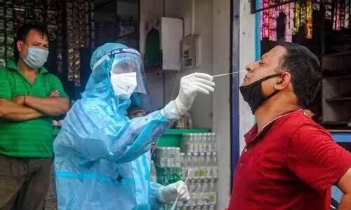 Swab Collection for Covid 19