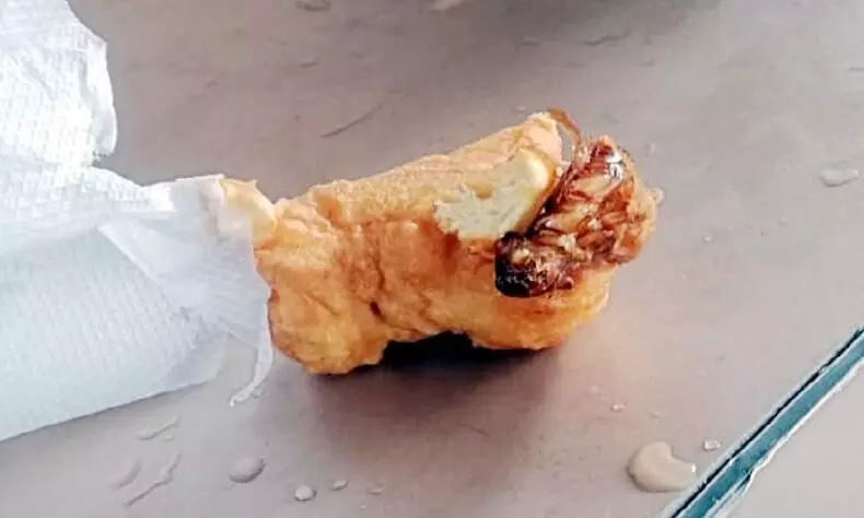 കൗൺസിലർക്ക് കിട്ടിയ വടയിൽ പാറ്റ; ഹോട്ടൽ അടപ്പിച്ചു കൗൺസിലർക്ക് കിട്ടിയ വടയിൽ പാറ്റ; ഹോട്ടൽ അടപ്പിച്ചു