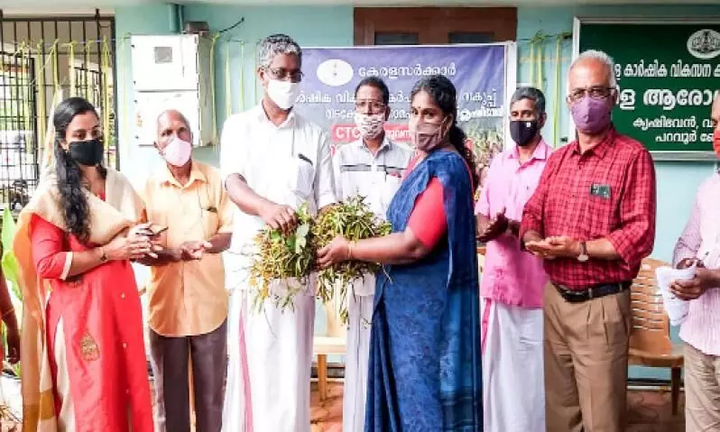 മധുരഗ്രാമമാകാൻ വടക്കേക്കര മധുരഗ്രാമമാകാൻ വടക്കേക്കര