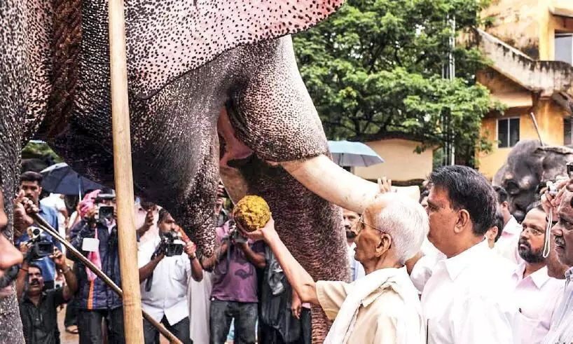 വിടവാങ്ങിയത് ഗുരുവായൂരിെൻറ പ്രിയ ആന വൈദ്യൻ വിടവാങ്ങിയത് ഗുരുവായൂരിെൻറ പ്രിയ ആന വൈദ്യൻ