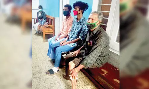 മാനന്തവാടിയിൽ തെരുവുനായ്​ ശല്യം; മൂന്നുപേരെ കടിച്ചു