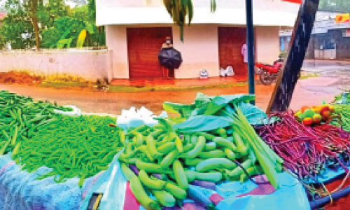 കാർഷികമുന്നേറ്റത്തിന് വെൺപാലക്കര മാതൃക