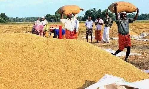 നെല്ല് സംഭരണം: കൂടുതൽ സംഘങ്ങൾ സപ്ലൈകോയുമായി കരാറിലെത്തി നെല്ല് സംഭരണം: കൂടുതൽ സംഘങ്ങൾ സപ്ലൈകോയുമായി കരാറിലെത്തി