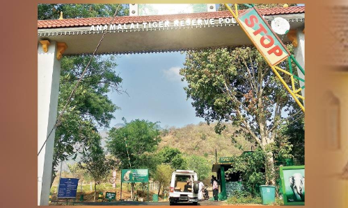 പ​റ​മ്പി​ക്കു​ള​ത്തേ​ക്ക് റോ​ഡ് യാ​ഥാ​ർ​ഥ്യ​മാ​യി​ല്ല