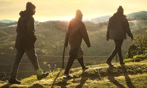 നായാട്ട് ടൈറ്റിൽ പോസ്റ്റർ പുറത്ത്