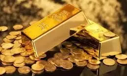 gold smuggling case