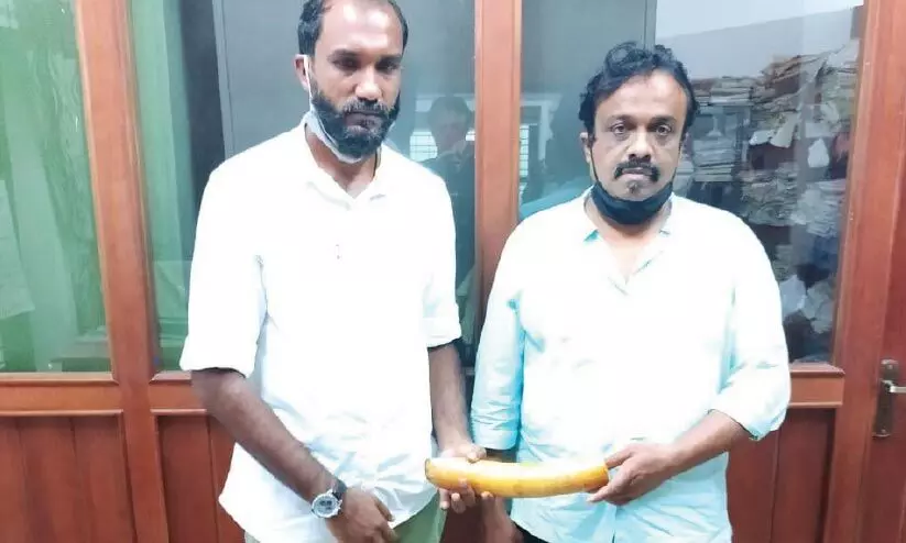 കണ്ണൂരിൽ ആനക്കൊമ്പുമായി രണ്ടുപേർ അറസ്റ്റിൽ കണ്ണൂരിൽ ആനക്കൊമ്പുമായി രണ്ടുപേർ അറസ്റ്റിൽ