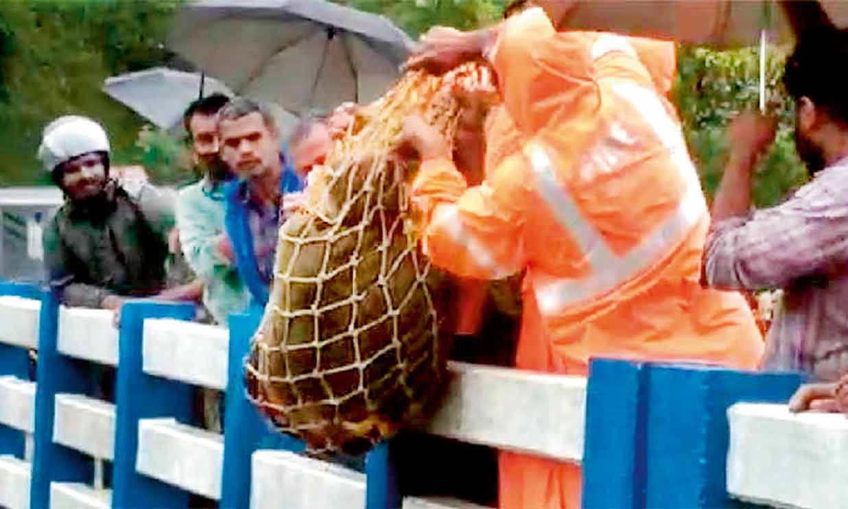 പാലത്തിനടിയിൽ കിടന്നുറങ്ങിയ വയോധികന് രക്ഷകരായി അഗ്നിരക്ഷാസേന പാലത്തിനടിയിൽ കിടന്നുറങ്ങിയ വയോധികന് രക്ഷകരായി അഗ്നിരക്ഷാസേന