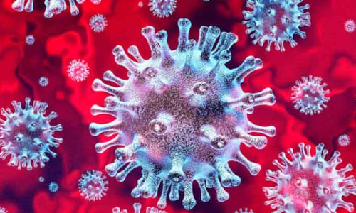 കോവിഡ്: കൂടുതൽ രോഗികൾ മസ്കത്തിൽ; വടക്കൻ ബാത്തിന രണ്ടാമത് കോവിഡ്: കൂടുതൽ രോഗികൾ മസ്കത്തിൽ; വടക്കൻ ബാത്തിന രണ്ടാമത്