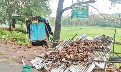 കാട്ടാന കട തകർത്തു