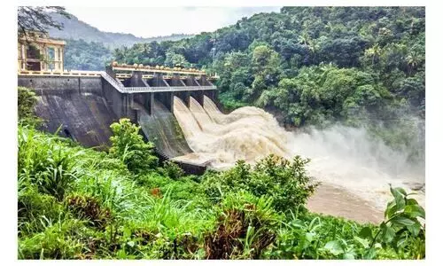 തോരാതെ മഴ; ദുരിതവും, ഇടുക്കിയിൽ  അഞ്ച്​ അണക്കെട്ടുകൾ തുറന്നു