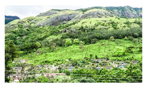 ലയങ്ങൾക്ക്​ മുകളിൽ വിള്ളൽ; ദുരന്തഭീതിയിൽ തൊഴിലാളികൾ