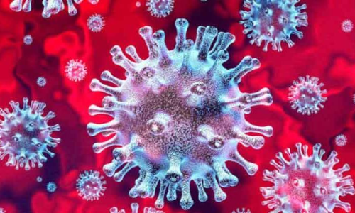 ചികിത്സയിൽ കഴിഞ്ഞിരുന്ന കോവിഡ് രോഗി മരിച്ചു