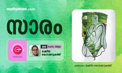 സാരം -കഥ