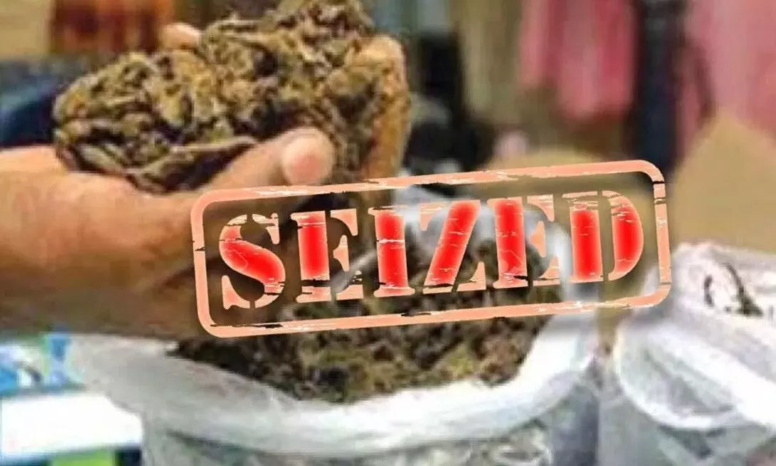 ക​ഞ്ചാ​വും പ​ണ​വും പി​ടി​കൂ​ടി; പ്ര​തി ര​ക്ഷ​പ്പെ​ട്ടു