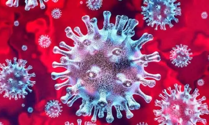 ചികിത്സയിൽ കഴിഞ്ഞിരുന്ന കോവിഡ് രോഗി മരിച്ചു ചികിത്സയിൽ കഴിഞ്ഞിരുന്ന കോവിഡ് രോഗി മരിച്ചു