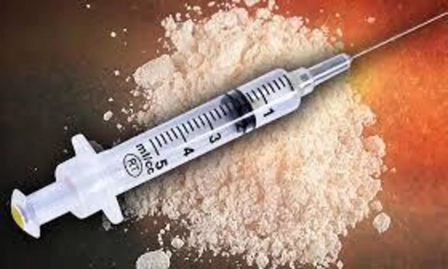 ആര്യങ്കാവ് ലഹരിക്കേസ്; രണ്ടും നാലും പ്രതികളുടെ ബാങ്ക് അക്കൗണ്ട് മരവിപ്പിച്ചു