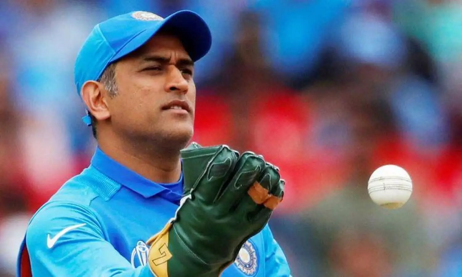 നമ്മ തലൈ ധോണി; ഇതിഹാസത്തിന്​​ സംഗീതത്തിലൂടെ ആദരം