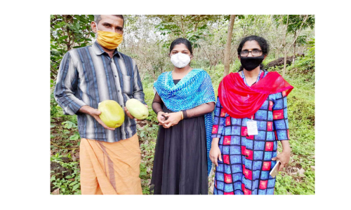 രാ​മ​കൃ​ഷ്ണ​ൻ പ​റ​യു​ന്നു; ഇ​വി​ടെ​യു​ണ്ട് ആ​കാ​ശ​വെ​ള്ള​രി