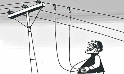 പെരിയ സെക്​ഷന്​ കീഴിൽ വൈദ്യുതി മോഷണം പിടികൂടി